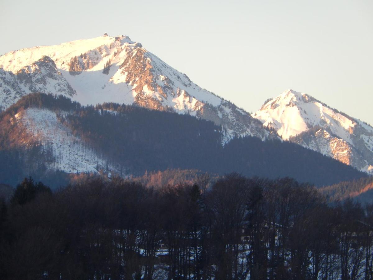 Private Luxury Chalet Siegsdorf Εξωτερικό φωτογραφία